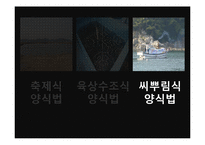 해삼 양식과 현황-7