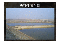 해삼 양식과 현황-8