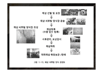 해삼 양식과 현황-9