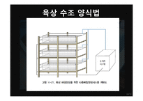 해삼 양식과 현황-10