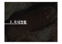 해삼 양식과 현황-11