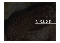 해삼 양식과 현황-17