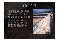 해삼 양식과 현황-18