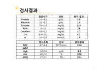 복막투석 환자 간호 진단-7