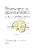 [PBL] Brainstem, Spinal cord의 해부학적 구조-2