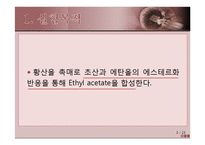 초산에틸의 합성 실험-3