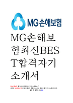 MG손해보험 최신 BEST 합격 자기소개서!!!!-1