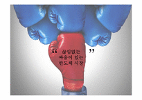하이닉스와 프로모스의 전략적 제휴 사례-15