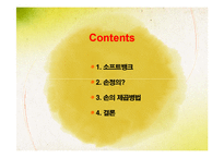 소프트 뱅크의 제곱병법-2