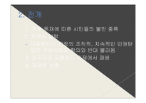 제 3세계 민주화 전망과 과제-13