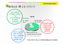 가출청소년 실태와 관련 정책 연구-5