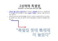 남성의 성문화 조사-14