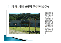 농어촌 관광(농어촌관광의문제점, 농촌자원, 농촌자원활용, 농촌경제활성화, 농어촌관광사례, 지역관광사업사례)PPT, 파워포인트-13
