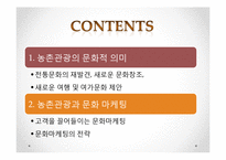 농어촌건축 관광마케팅(농촌관광, 전통문화마케팅, 농촌관광문화, 문화마케팅전략) PPT, 파워포인트-2