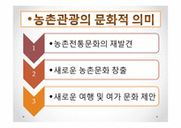 농어촌건축 관광마케팅(농촌관광, 전통문화마케팅, 농촌관광문화, 문화마케팅전략) PPT, 파워포인트-4