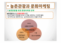 농어촌건축 관광마케팅(농촌관광, 전통문화마케팅, 농촌관광문화, 문화마케팅전략) PPT, 파워포인트-7