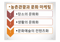 농어촌건축 관광마케팅(농촌관광, 전통문화마케팅, 농촌관광문화, 문화마케팅전략) PPT, 파워포인트-8
