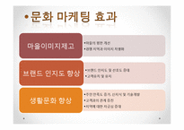 농어촌건축 관광마케팅(농촌관광, 전통문화마케팅, 농촌관광문화, 문화마케팅전략) PPT, 파워포인트-16