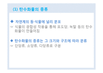 식품과 영양 학습 지도안(학습지도안, 식품영양학과, 교직, 교생실습, 교수지도안, 수업지도안)hwp-4