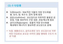 식품과 영양 학습 지도안(학습지도안, 식품영양학과, 교직, 교생실습, 교수지도안, 수업지도안)hwp-9