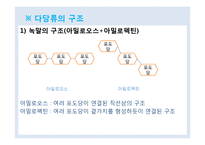식품과 영양 학습 지도안(학습지도안, 식품영양학과, 교직, 교생실습, 교수지도안, 수업지도안)hwp-11