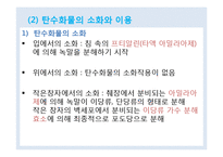 식품과 영양 학습 지도안(학습지도안, 식품영양학과, 교직, 교생실습, 교수지도안, 수업지도안)hwp-13