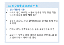 식품과 영양 학습 지도안(학습지도안, 식품영양학과, 교직, 교생실습, 교수지도안, 수업지도안)hwp-14