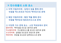 식품과 영양 학습 지도안(학습지도안, 식품영양학과, 교직, 교생실습, 교수지도안, 수업지도안)hwp-15