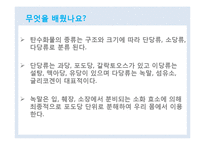 식품과 영양 학습 지도안(학습지도안, 식품영양학과, 교직, 교생실습, 교수지도안, 수업지도안)hwp-16