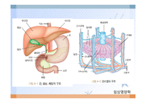 간, 담낭 및 췌장 질환(임상영양학, 간질환, 담도계질환, 췌장질환) PPT, 파워포인트-3