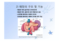 당뇨병(임상영양학, 당뇨병의정의, 당뇨병의진단, 당뇨병합병증, 당뇨병치료) PPT, 파워포인트-4
