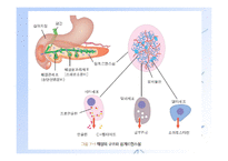 당뇨병(임상영양학, 당뇨병의정의, 당뇨병의진단, 당뇨병합병증, 당뇨병치료) PPT, 파워포인트-5
