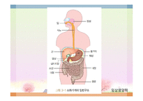 소화기 질환(임상영양학, 구강및식도질환, 위장질환, 장질환) PPT, 파워포인트-2
