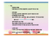 소화기 질환(임상영양학, 구강및식도질환, 위장질환, 장질환) PPT, 파워포인트-15