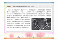 소화기 질환(임상영양학, 구강및식도질환, 위장질환, 장질환) PPT, 파워포인트-18