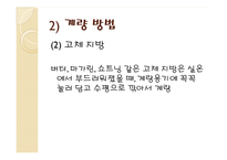 한국의조리(식품의조리, 학습지도안, 식품영양학과, 교직, 교생실습, 교수지도안, 수업지도안) PPT, 파워포인트-11