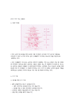 영유아 영양교육의 기초-3