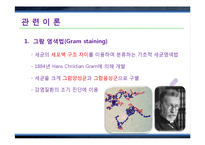 그람염색법(Gram staining)과 박테리아 관찰 실험-7