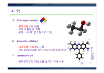 그람염색법(Gram staining)과 박테리아 관찰 실험-14