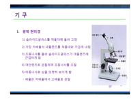 그람염색법(Gram staining)과 박테리아 관찰 실험-15