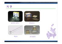 그람염색법(Gram staining)과 박테리아 관찰 실험-16