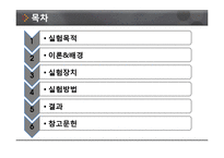 Reynolds Number 실험-2