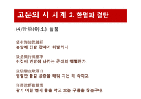 최치원의 생애 및 사상과 문학-20