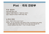 Cathleen Ni Houlihan 작품 연구-13