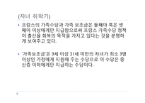 외국의 가족복지 정책(스웨덴의가족복지정책, 프랑스가족복지정책) PPT, 파워포인트-17