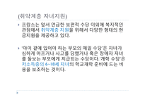 외국의 가족복지 정책(스웨덴의가족복지정책, 프랑스가족복지정책) PPT, 파워포인트-18
