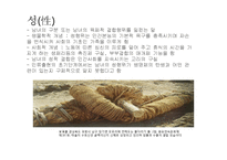정신건강의발달적이해(성, 성역할, 성정체성, 성과정신건강) PPT-3