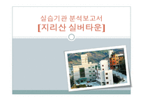 지리산실버타운 실습기관분석(평안복지재단, 사회복지현장실습, 노인복지시설) PPT, 파워포인트-1