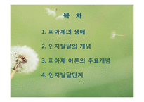 피아제 인지발달이론(피아제의생애, 인지발달개념, 피아제이론, 주요개념, 인지발달단계) PPT-2