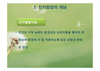 피아제 인지발달이론(피아제의생애, 인지발달개념, 피아제이론, 주요개념, 인지발달단계) PPT-5